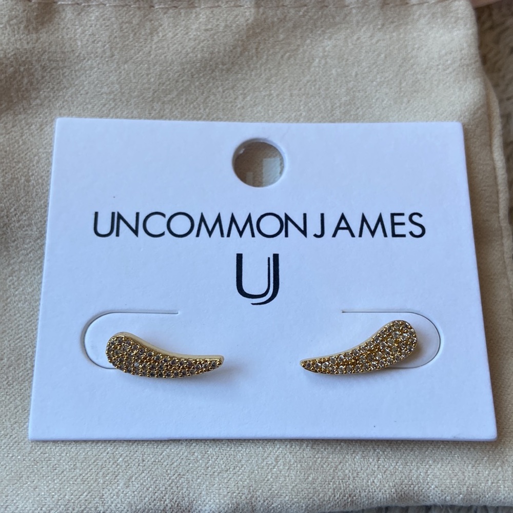 Uncommon James earrings